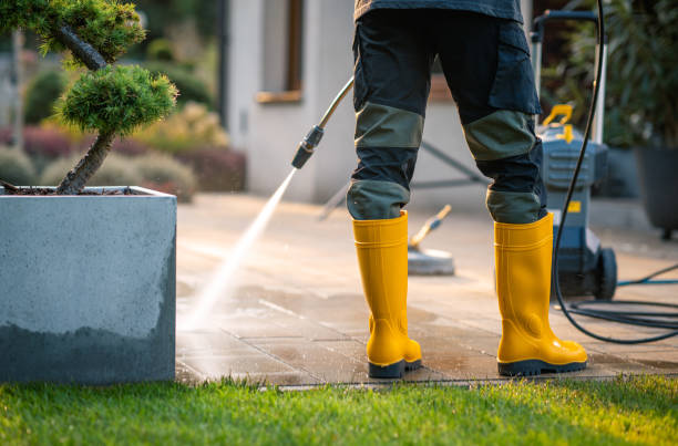 Best Power Washing Near Me  in Davenport, WA